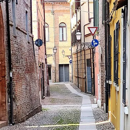 Paloma13